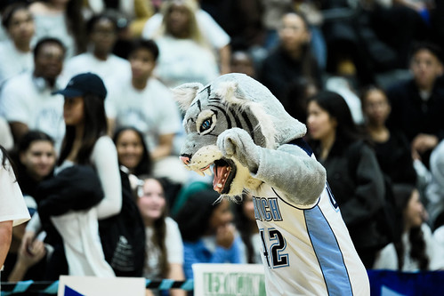 Bernie the Bearcat hyping up the crowd at a Baruch College event